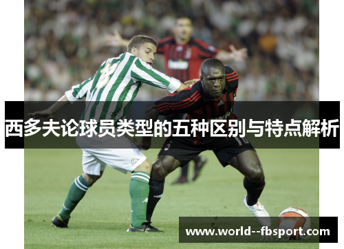 西多夫论球员类型的五种区别与特点解析